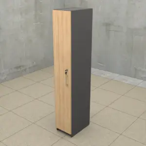 Mueble locker