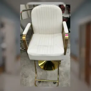 Silla de Peluqueria