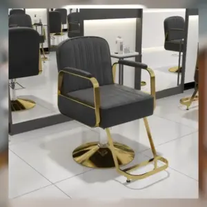 Silla de Peluqueria