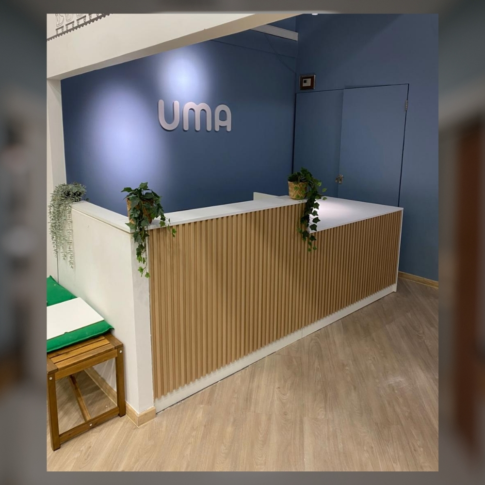 mueble recepcion (1)